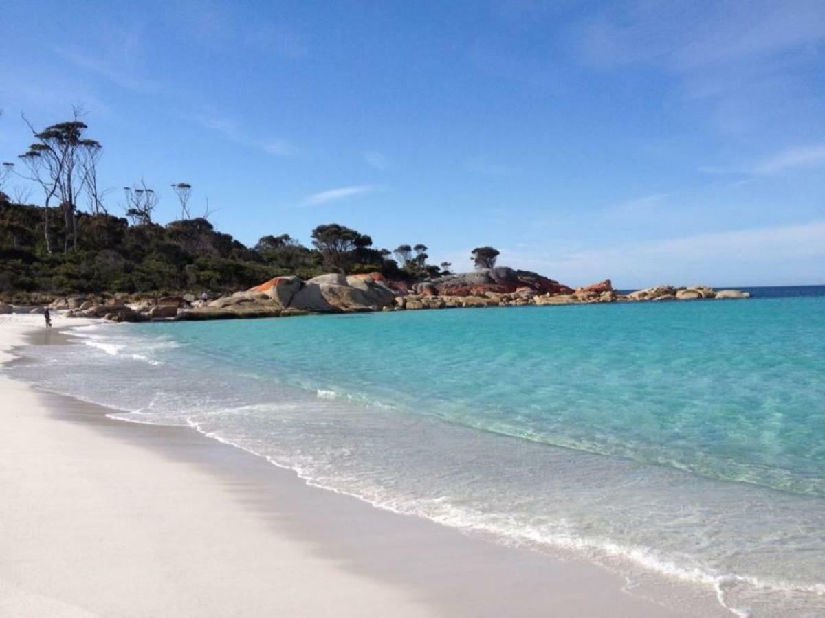 The Loft @ Bay Of Fires Seascape Apartment Binalong Bay Екстериор снимка